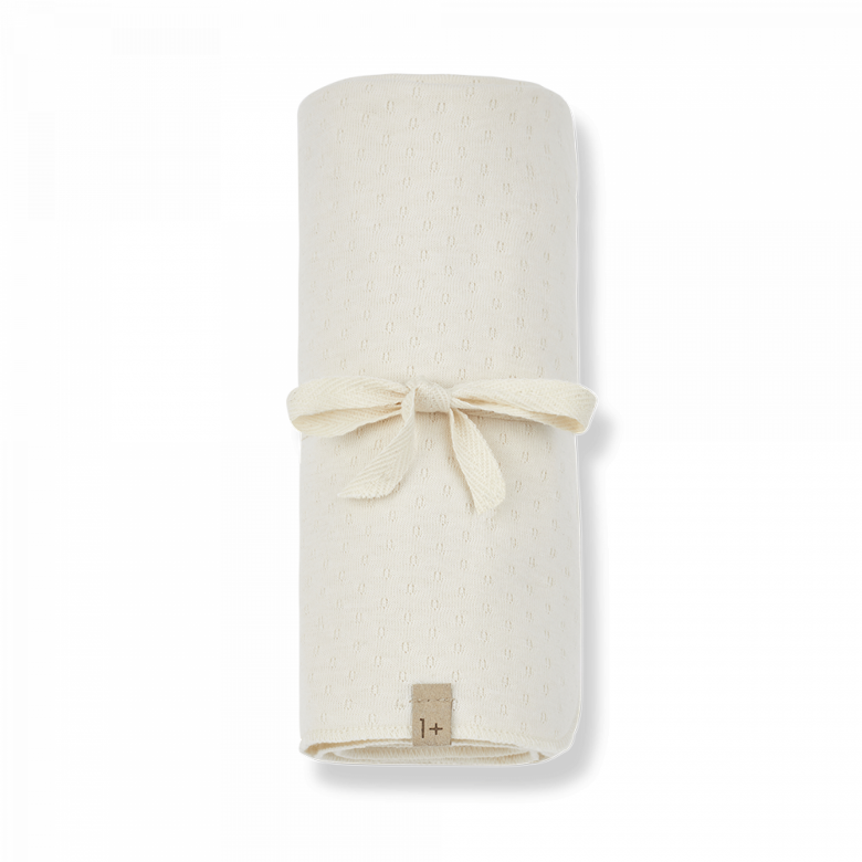 Ivory - Couverture Asis
