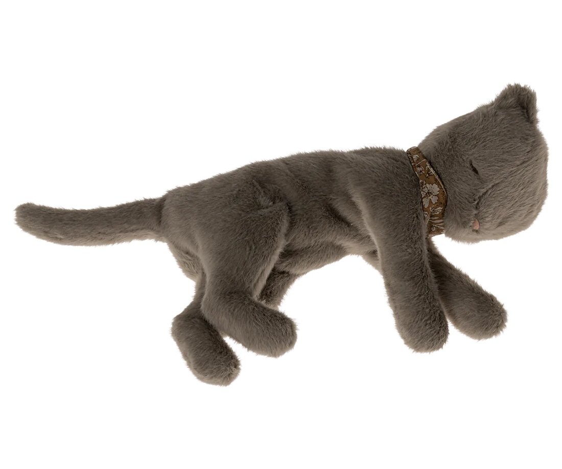 Earth Grey - Peluche Chaton